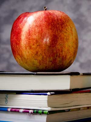 骚扰神器24小时轰炸免费